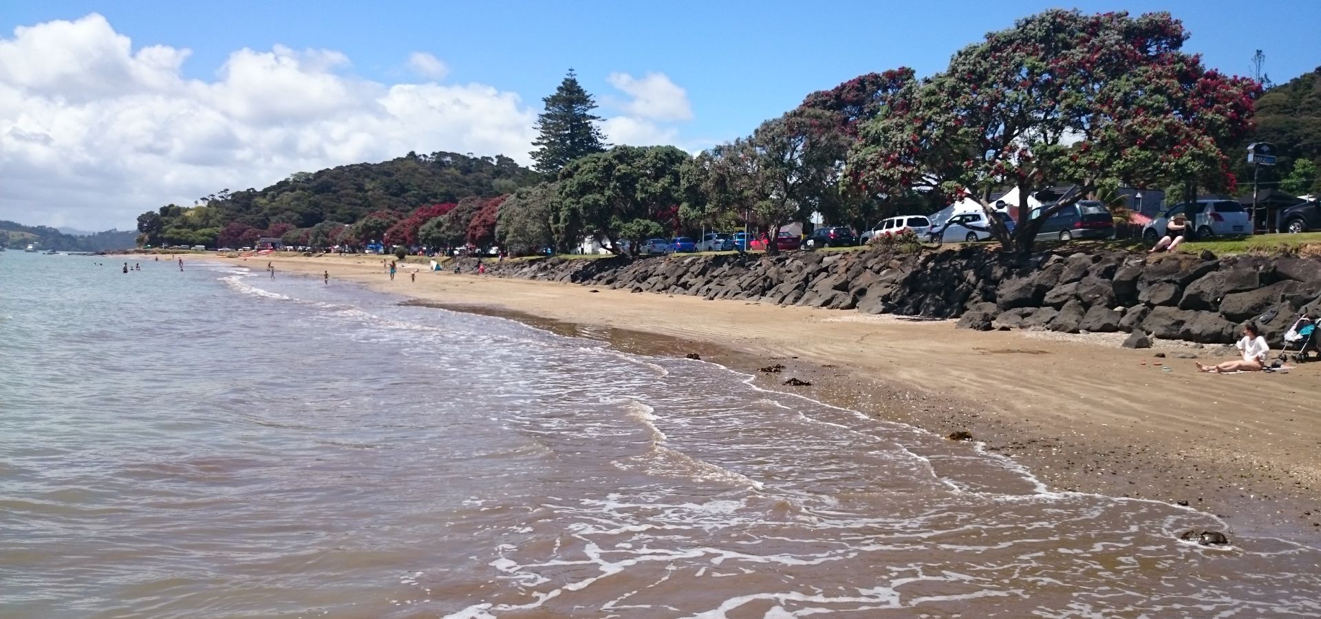 Swim at Paihia beach